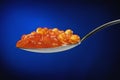 Red caviar in a silver spoon, dark blue background. Macro Royalty Free Stock Photo