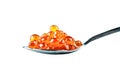 Red caviar in the silver spoon. Isolated object on white background. Close up. Royalty Free Stock Photo