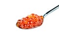 Red caviar in the silver spoon. Isolated object on white background. Close up. Royalty Free Stock Photo