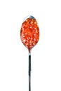 Red caviar in the silver spoon. Isolated object on white background. Close up. Top view. Royalty Free Stock Photo