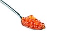 Red caviar in the silver spoon. Isolated object on white background. Close up. Royalty Free Stock Photo