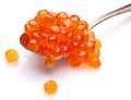 Red caviar in the silver spoon on a white background.