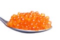 Red caviar in spoon