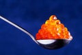 Red caviar in the spoon Royalty Free Stock Photo