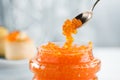 Red Caviar in a spoon, fish roe in a glass jar. Close-up of salmon fish roe caviar on served table