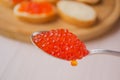 Red caviar in a spoon on a light background, selective focus. Tasty and healthy food. Delicatessen. Making sandwiches