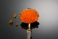 Red Caviar in a spoon over gray background. Close-up of salmon fish roe caviar. Delicatessen Royalty Free Stock Photo