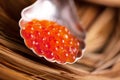 Red caviar spoon silver vintage Provence Royalty Free Stock Photo