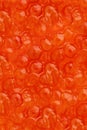Red caviar studio photo. Orange or red luxury caviar as background