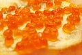 Red caviare sandwich Royalty Free Stock Photo