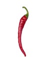 Red Cayenna pepper Royalty Free Stock Photo
