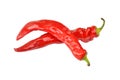 Red cayenne chili pepper Royalty Free Stock Photo