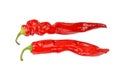 Red cayenne chili pepper Royalty Free Stock Photo