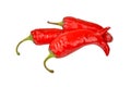 Red cayenne chili pepper Royalty Free Stock Photo