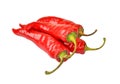 Red cayenne chili pepper Royalty Free Stock Photo