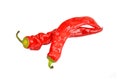 Red cayenne chili pepper Royalty Free Stock Photo