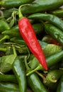 Red cayenne pepper Royalty Free Stock Photo