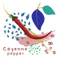 Red cayenne pepper with abstract decorative elements Royalty Free Stock Photo