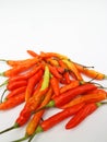 Clse up red Cayenne Pepper or Cabe Rawit Merah in Indonesian White Background