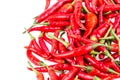Red Cayenne pepper on white Royalty Free Stock Photo
