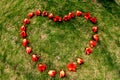 Red ceiba kapok flower heart