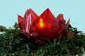 Red Cellophane Origami Lotus Flower with Lights on a bed of moss. Royalty Free Stock Photo