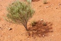 Red center in the Australian desert, outback in Northern Territory, Australia Royalty Free Stock Photo