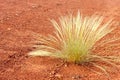 Red center in the Australian desert, outback in Northern Territory, Australia Royalty Free Stock Photo