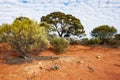 The Australian desert, the outback Royalty Free Stock Photo