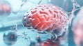 Unraveling the enigma, red core at the heart of brain. exploring the intricacies of neurological systems and anatomy