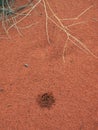 Small Ant Hole Mound in Red Soil, Uluru, Australia Royalty Free Stock Photo