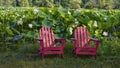 2 red chairs in Lotus flower field Royalty Free Stock Photo