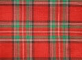 Red checked fabric