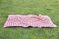 Red checkered tablecloth on green grass empty copy space,red picnic cloth food advertisement design Royalty Free Stock Photo