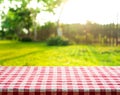 Red checkered tablecloth texture top with view garden, fence Royalty Free Stock Photo