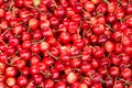 Red Cherrie background