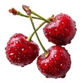 red cherrie each The cherrie appear glossy and wet Royalty Free Stock Photo