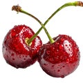 red cherrie each The cherrie appear glossy and wet Royalty Free Stock Photo