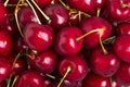 Red cherries Royalty Free Stock Photo