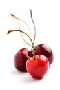 Red cherries Royalty Free Stock Photo