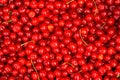 Red Cherries. Background. Royalty Free Stock Photo