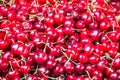 Red cherries background, close up of cherries Royalty Free Stock Photo