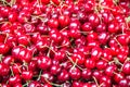 Red cherries background, close up of cherries