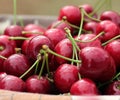 Red Cherries Basket Royalty Free Stock Photo