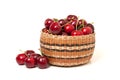 Red Cherries in a basket on white background