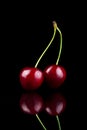 Red cherries on a black background Royalty Free Stock Photo