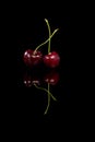 Red cherries on black background. Royalty Free Stock Photo
