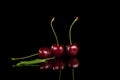 Red cherries on black background Royalty Free Stock Photo