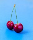 Red Cherries on a blue background Royalty Free Stock Photo