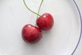 Red cherries, delicious and colorful summer fruit